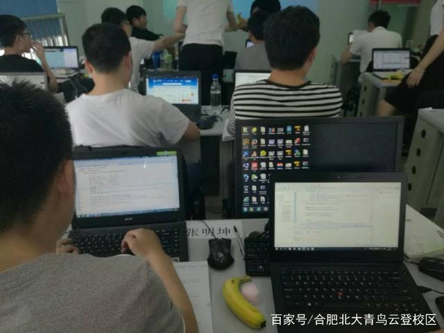 汽車維修與計(jì)算機(jī)軟件開發(fā) 職業(yè)前景的深度對(duì)比分析